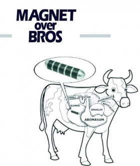 Mu Magnets - Magnet Over Bros